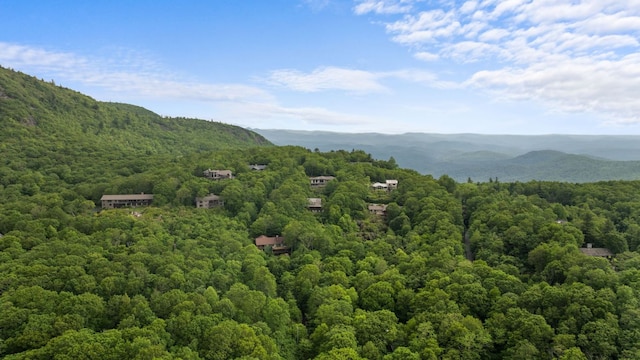 1240 King Gap Rd, Highlands, NC 28741 - mountain view with a forest