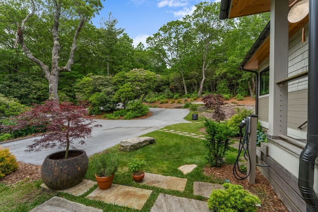 1240 King Gap Rd, Highlands, NC 28741 - view of yard