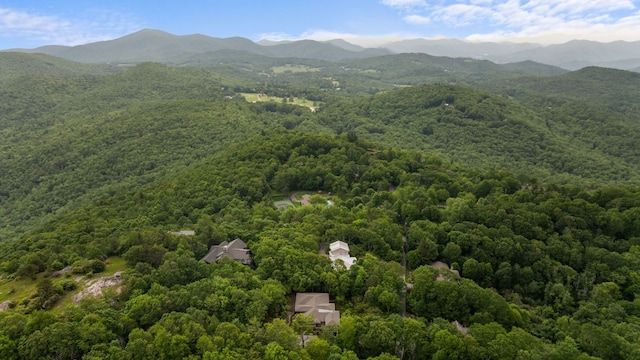 1240 King Gap Rd, Highlands, NC 28741 - aerial overview of property's location with a heavily wooded area