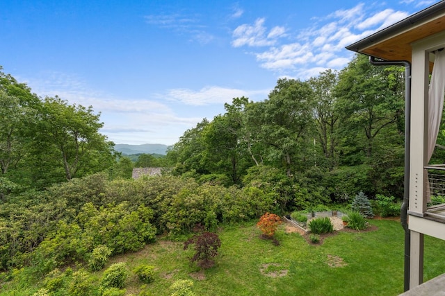 1240 King Gap Rd, Highlands, NC 28741 - view of grassy yard