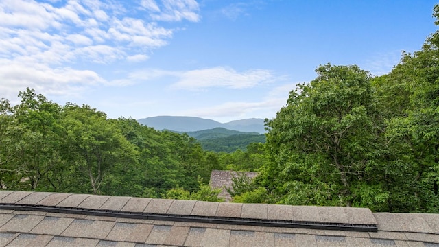 1240 King Gap Rd, Highlands, NC 28741 - view of mountain background featuring a forest