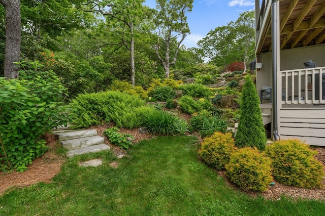 1240 King Gap Rd, Highlands, NC 28741 - view of yard
