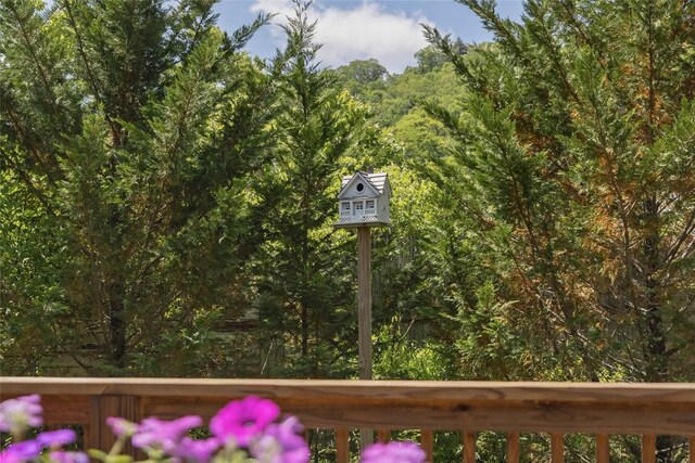 60 Holly Tree Ln, Highlands, NC 28741 - photo 48