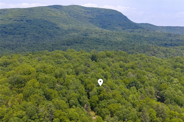 151 Rhododendron Ct, Sapphire, NC 28774 - mountain view featuring a forest