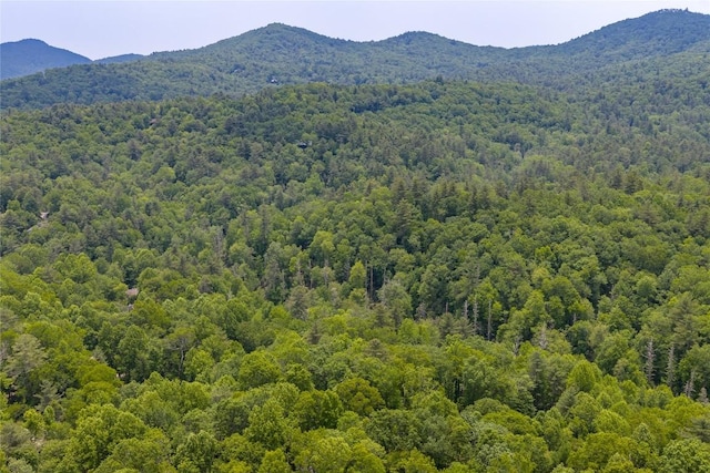 151 Rhododendron Ct, Sapphire, NC 28774 - view of mountain backdrop with a forest