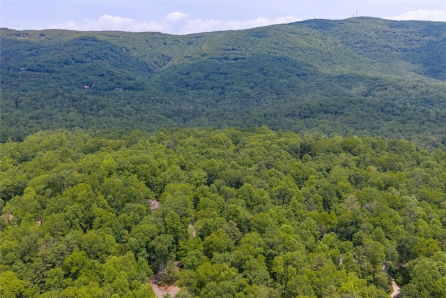 151 Rhododendron Ct, Sapphire, NC 28774 - view of mountain background featuring a forest