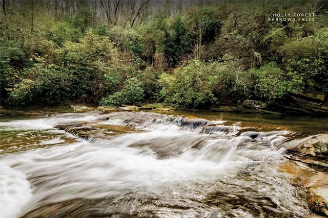 151 Rhododendron Ct, Sapphire, NC 28774 - water view featuring a heavily wooded area