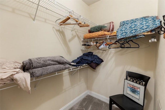 151 Rhododendron Ct, Sapphire, NC 28774 - spacious closet featuring carpet