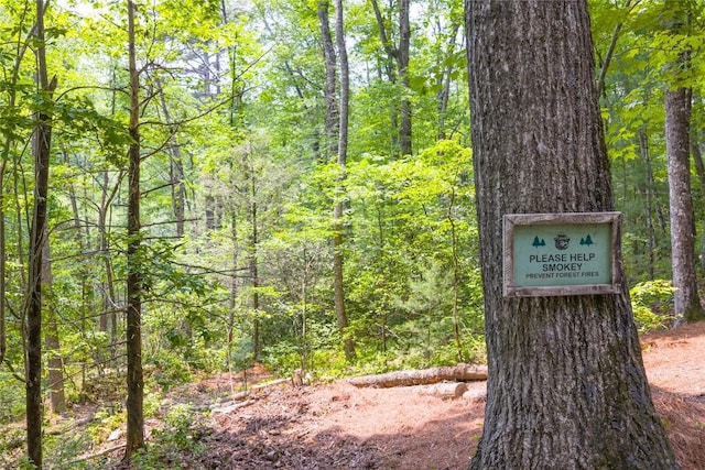 151 Rhododendron Ct, Sapphire, NC 28774 - view of wooded area