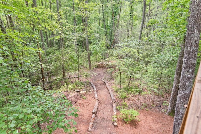 151 Rhododendron Ct, Sapphire, NC 28774 - view of tree filled area