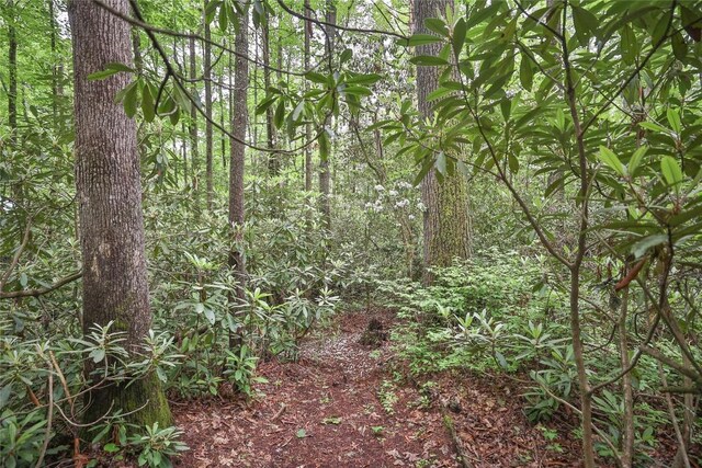 151 Rhododendron Ct, Sapphire, NC 28774 - view of wooded area