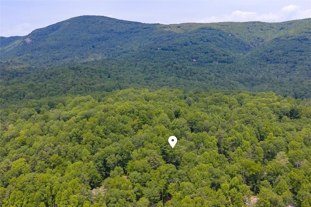 151 Rhododendron Ct, Sapphire, NC 28774 - view of mountain background featuring a forest
