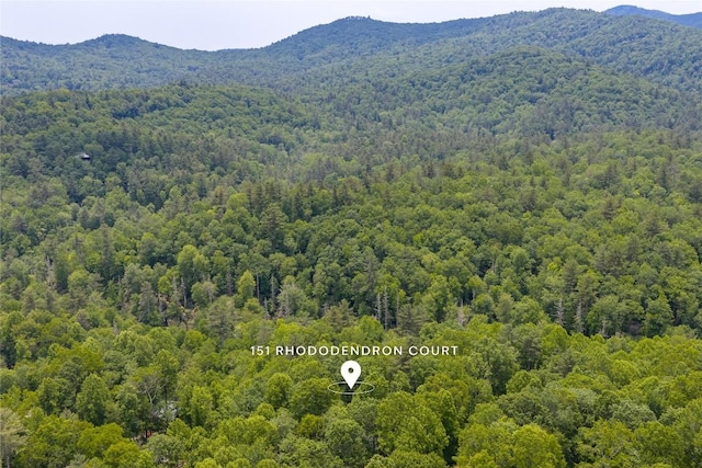 151 Rhododendron Ct, Sapphire, NC 28774 - aerial view of a forest