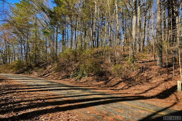 Listing photo 3 for LOT112 W Christy Trl, Sapphire NC 28774