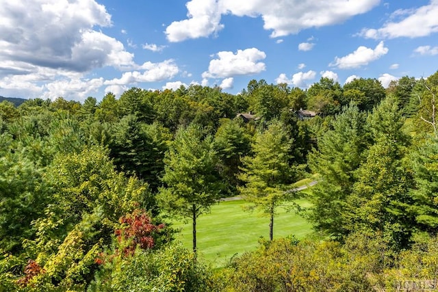 view of local wilderness