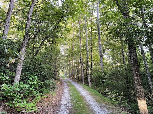 view of road