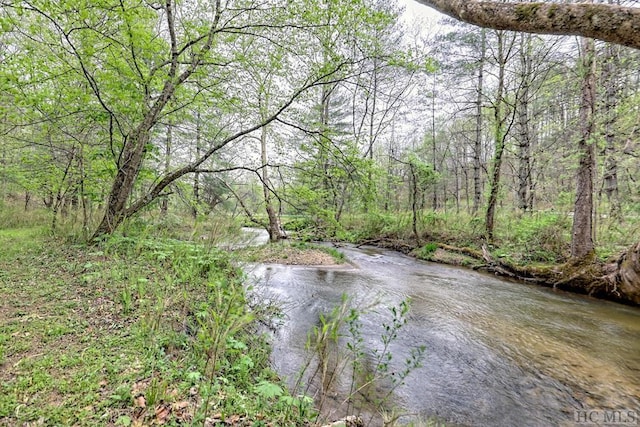 view of water feature