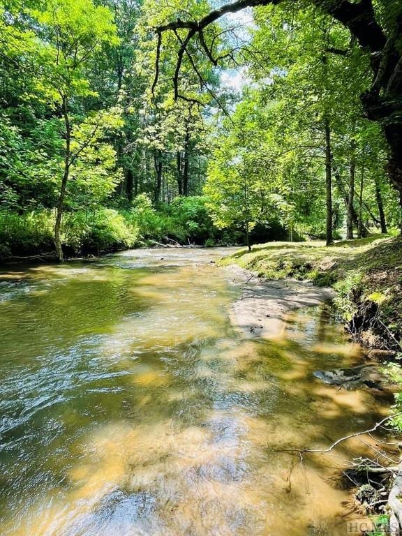 view of local wilderness