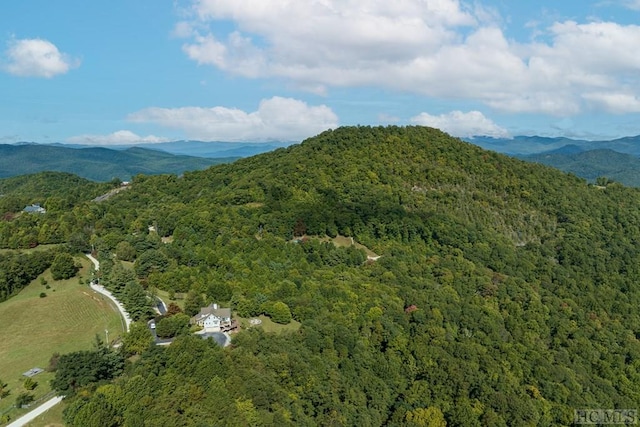 property view of mountains