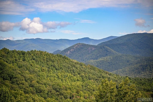 view of mountain feature