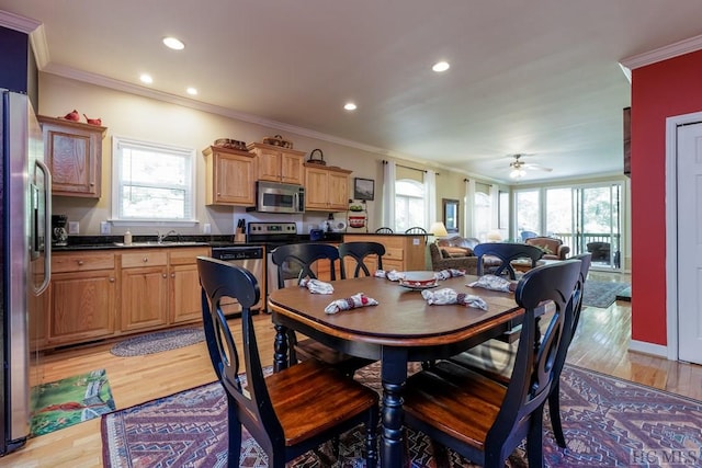 dining space with ceiling fan, sink, ornamental molding, and light hardwood / wood-style floors