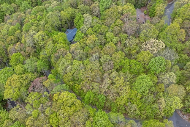 62 Plum Ct, Sapphire, NC 28774 - photo 66