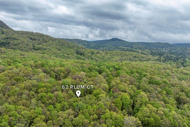 62 Plum Ct, Sapphire, NC 28774 - photo 75