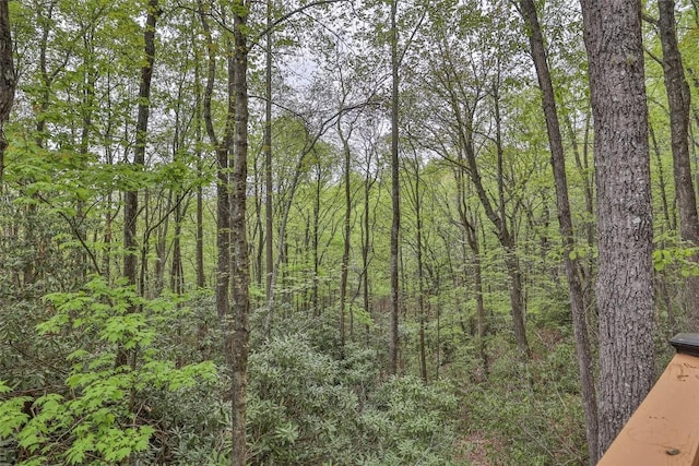 62 Plum Ct, Sapphire, NC 28774 - photo 24