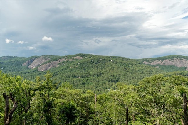 343 Ledgeview Rd, Cashiers, NC 28717 - view of mountain backdrop featuring a forest