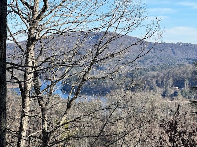 Listing photo 2 for 26 Shepherds Gap Rd, Cullowhee NC 28723