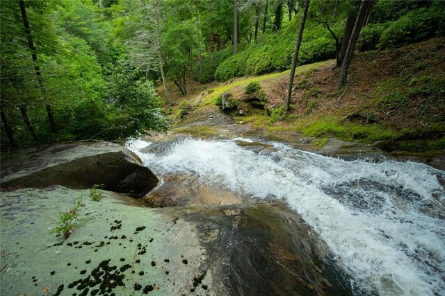 1090 Zeb Alley Rd, Cashiers, NC 28717 - water view with a heavily wooded area