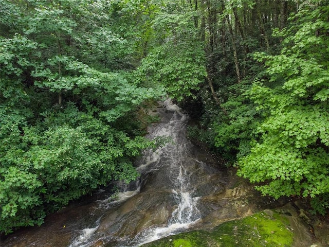 1090 Zeb Alley Rd, Cashiers, NC 28717 - view of wooded area