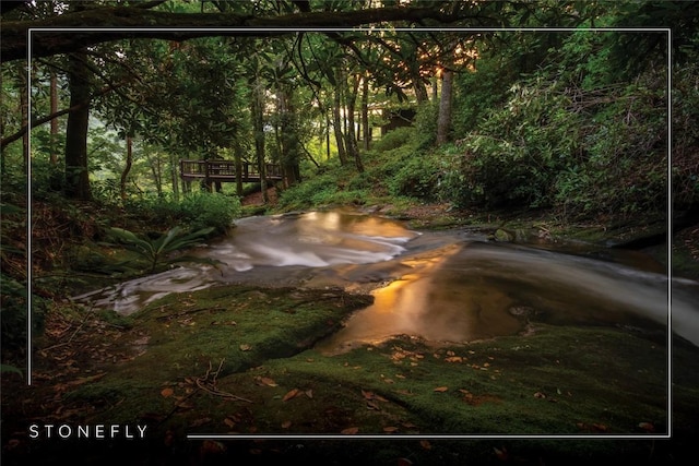 1090 Zeb Alley Rd, Cashiers, NC 28717 - exterior view of a heavily wooded area