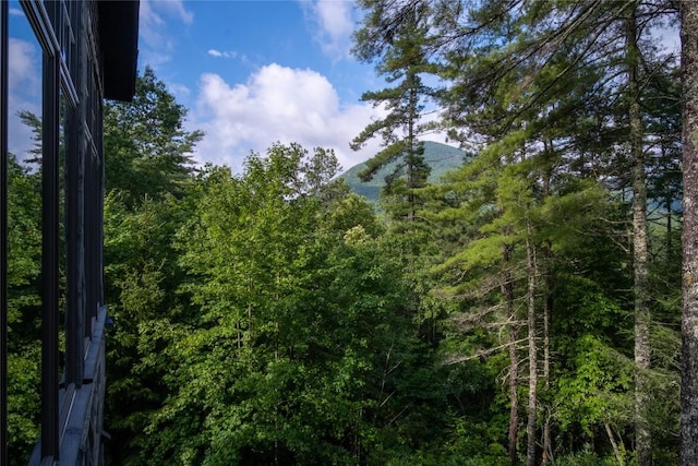 1090 Zeb Alley Rd, Cashiers, NC 28717 - view of woods featuring a mountain view