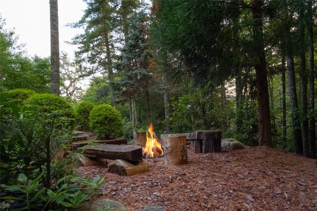 1090 Zeb Alley Rd, Cashiers, NC 28717 - view of yard with an outdoor fire pit