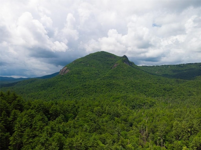 1090 Zeb Alley Rd, Cashiers, NC 28717 - view of mountain background featuring a forest