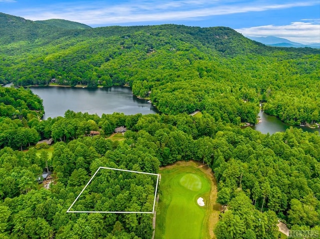 Listing photo 3 for N17 Mills Creek Trce, Lake Toxaway NC 28747