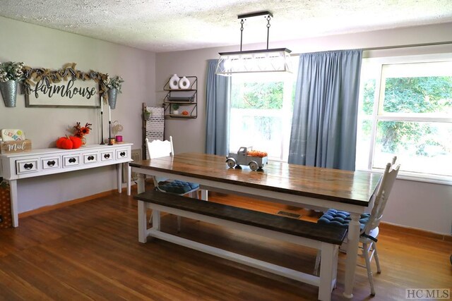 dining room featuring dark hardwood / wood-style flooring and a textured ceiling