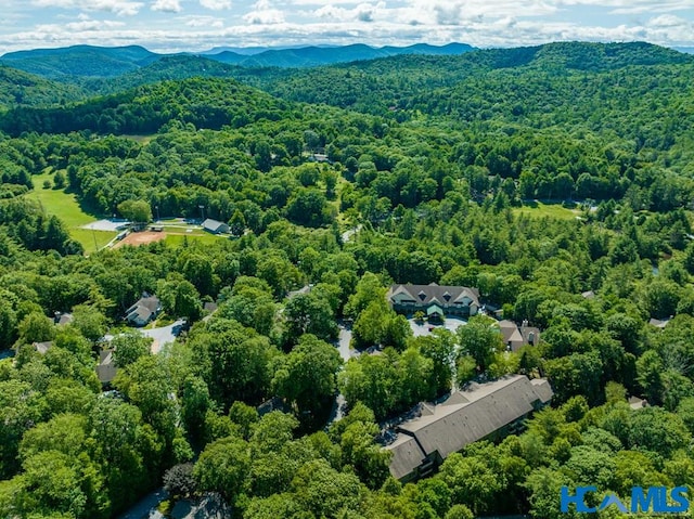 aerial view featuring a mountain view and a wooded view