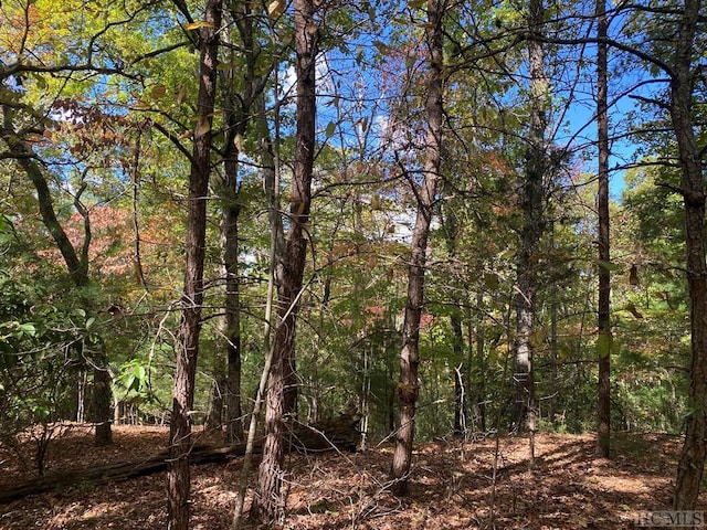 Listing photo 3 for TBD N Blaine Branch Rd, Franklin NC 28734