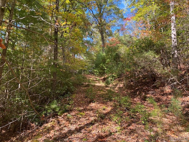 Listing photo 2 for TBD N Blaine Branch Rd, Franklin NC 28734