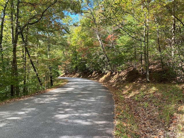 TBD N Blaine Branch Rd, Franklin NC, 28734 land for sale