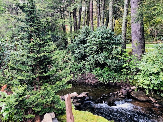 view of landscape with a forest view