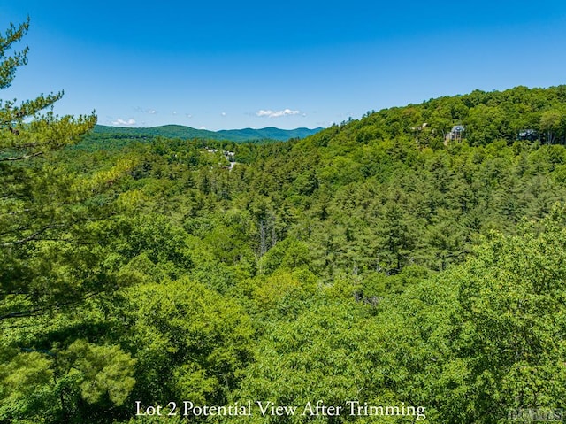 TBD Big Bear Pen Rd, Highlands NC, 28741 land for sale