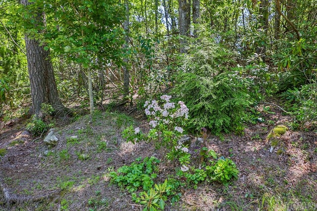 Listing photo 3 for TBD Big Bear Pen Rd, Highlands NC 28741