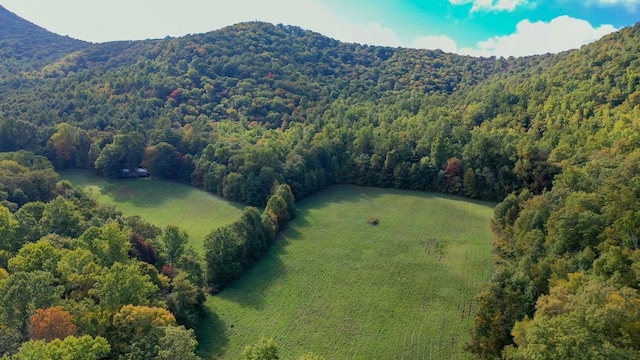 Listing photo 3 for 1575 Lloyd Cove Rd, Scaly Mountain NC 28775