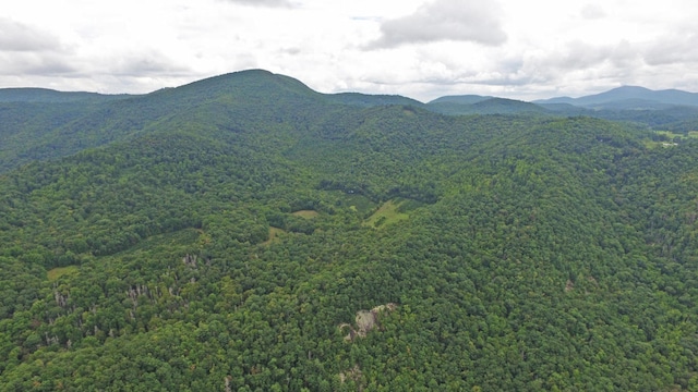 1575 Lloyd Cove Rd, Scaly Mountain NC, 28775 land for sale