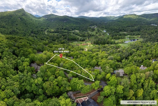 Listing photo 3 for LOT5A Golf View Rd, Sapphire NC 28774