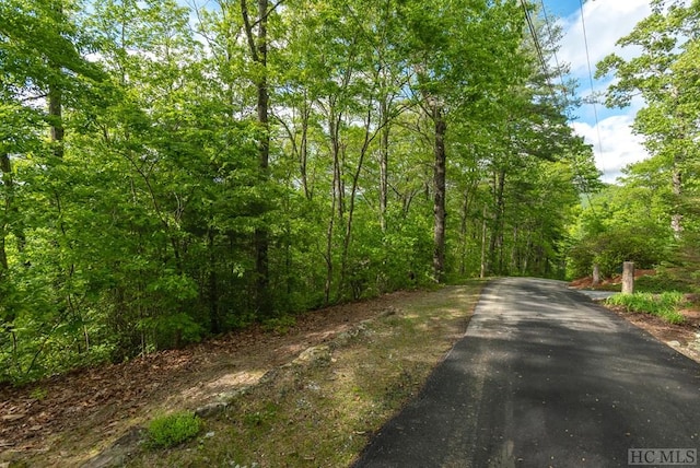 Listing photo 2 for LOT5A Golf View Rd, Sapphire NC 28774