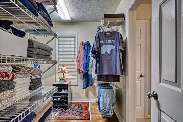 236 Hemlock Woods Dr, Highlands, NC 28741 - spacious closet with wood finished floors